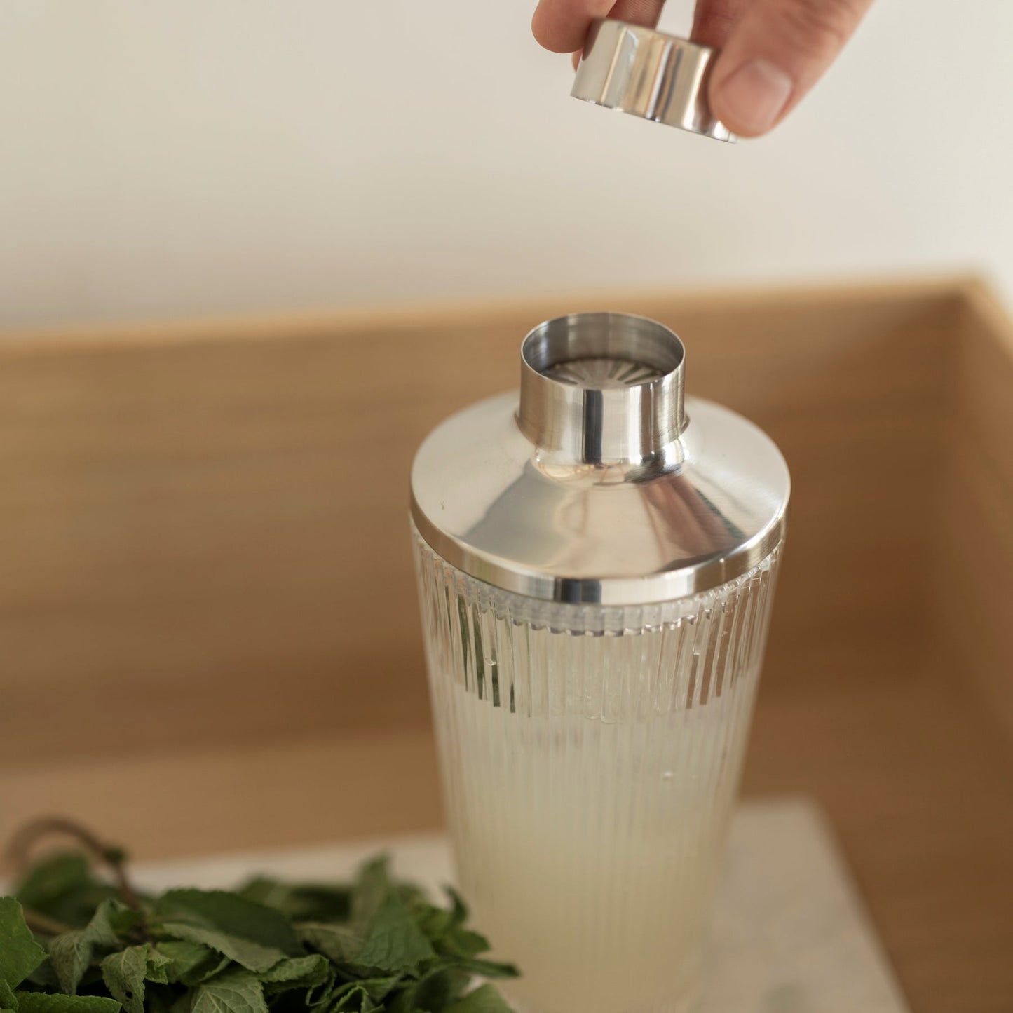 Pilastro Cocktail Shaker